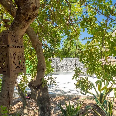 Suculenta - Xeckin Holidays Apartment Cunit
